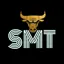 SMT Stock Market Today-SEBI Regd. Research Analyst