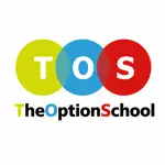 THE OPTION SCHOOL