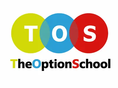 THE OPTION SCHOOL