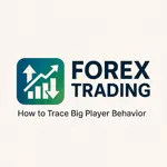 Forex Trading