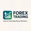 Forex Trading