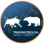Trading y Bolsa
