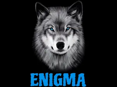 ICT ENIGMA