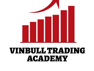 Vinbull Trading Academy
